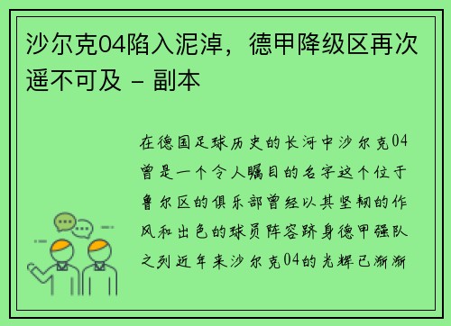沙尔克04陷入泥淖，德甲降级区再次遥不可及 - 副本